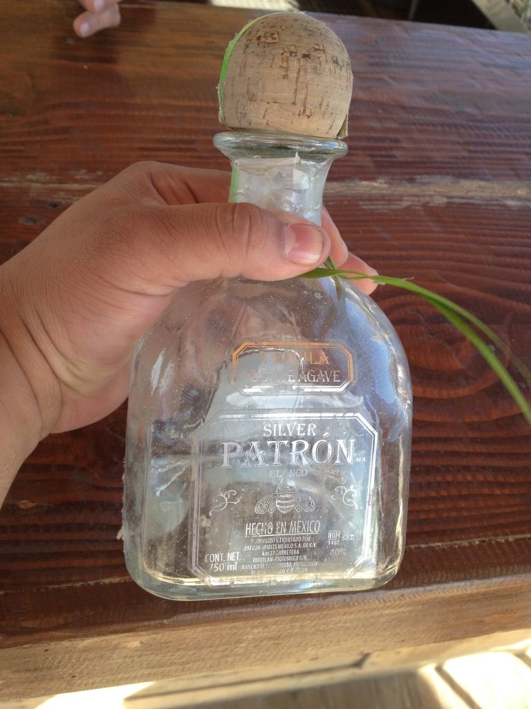 Tequila Patron